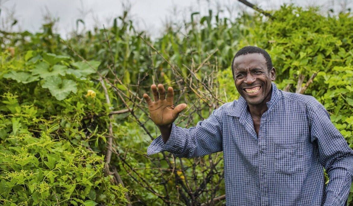 A farmer waving in a green crop field
