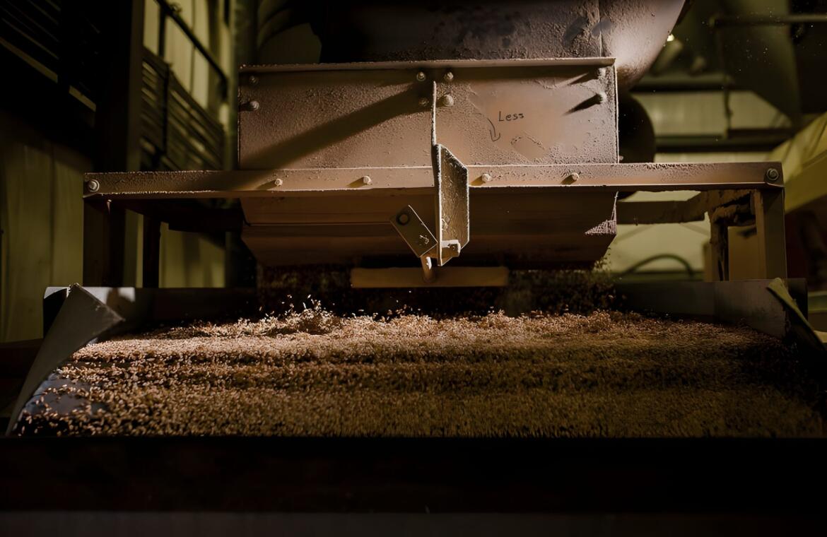 Soybean processing conveyor line